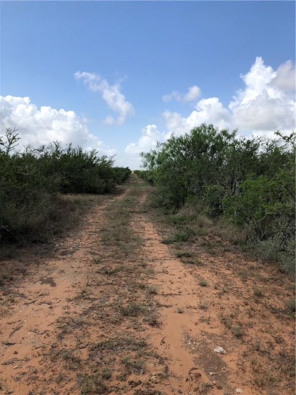 6601 W W Hwy 359 Santos Rd Highway , Realitos, TX, 78376 | 330189 | Realty Texas LLC