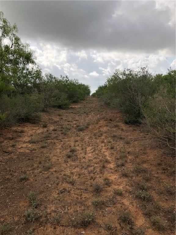 6601 W W Hwy 359 Santos Rd Highway , Realitos, TX, 78376 | 330189 | Realty Texas LLC