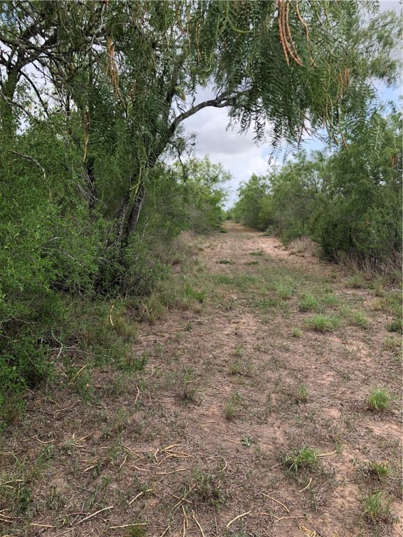 6601 W W Hwy 359 Santos Rd Highway , Realitos, TX, 78376 | 330189 | Realty Texas LLC