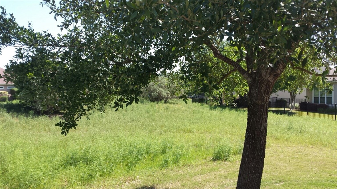 327 Crockett Loop , Georgetown, TX, 78633 | 4191907 | Realty Texas LLC