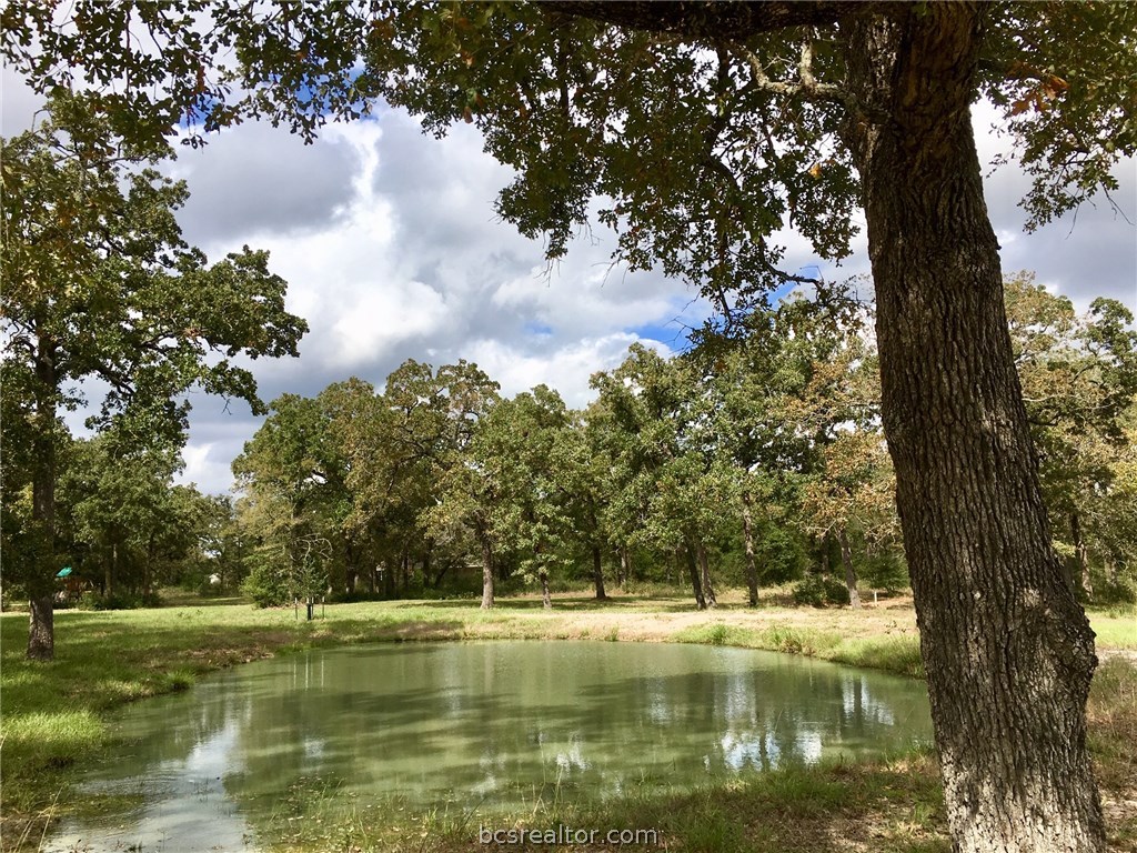 9978 Hampton Court , Iola, TX, 77861 | 18018059 | Realty Texas LLC