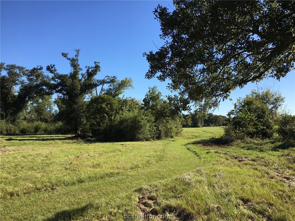 9978 Hampton Court , Iola, TX, 77861 | 18018059 | Realty Texas LLC