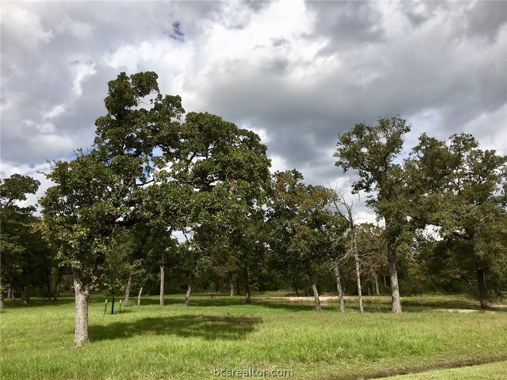 9978 Hampton Court , Iola, TX, 77861 | 18018059 | Realty Texas LLC