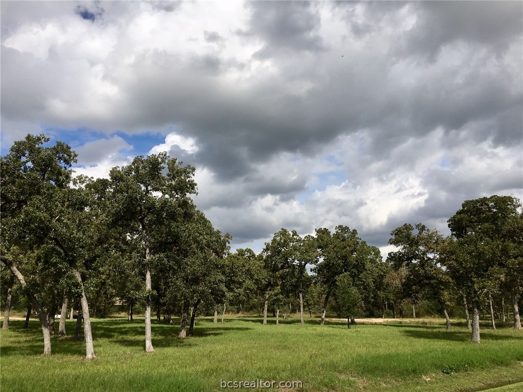 9978 Hampton Court , Iola, TX, 77861 | 18018059 | Realty Texas LLC