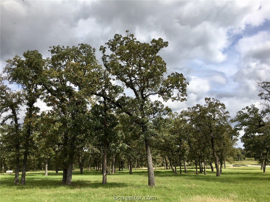 9978 Hampton Court , Iola, TX, 77861 | 18018059 | Realty Texas LLC