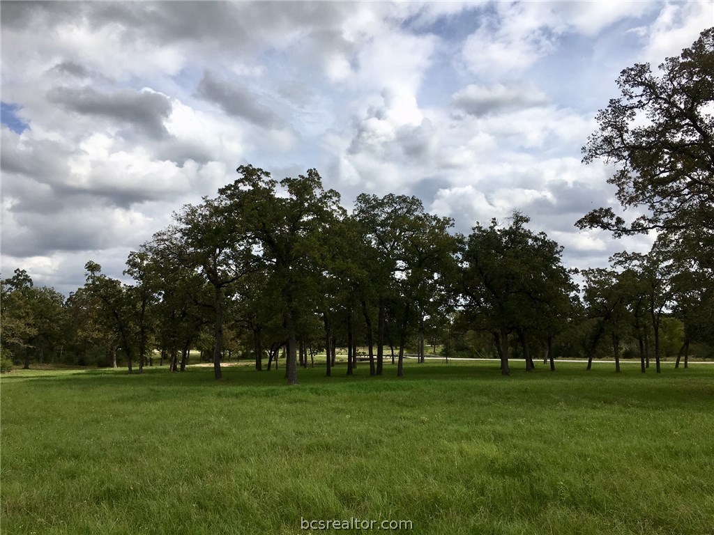 9978 Hampton Court , Iola, TX, 77861 | 18018059 | Realty Texas LLC