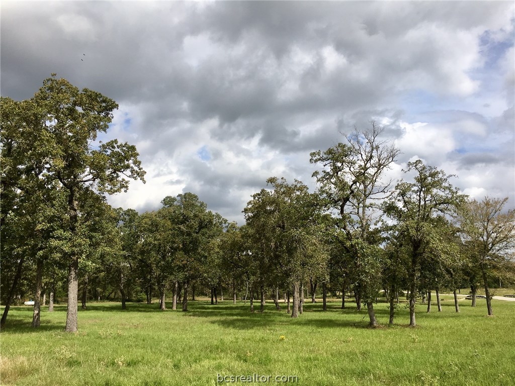 9978 Hampton Court , Iola, TX, 77861 | 18018059 | Realty Texas LLC