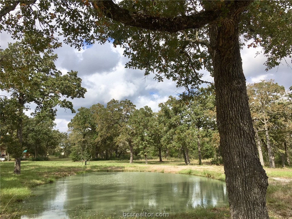9978 Hampton Court , Iola, TX, 77861 | 18018059 | Realty Texas LLC