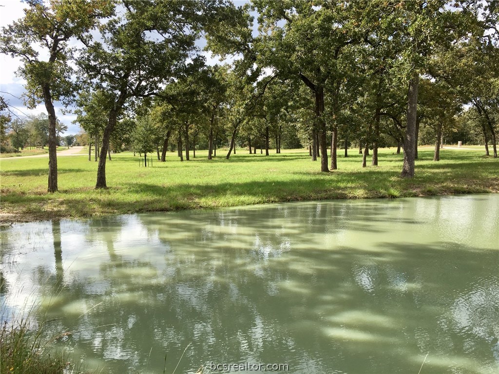 9978 Hampton Court , Iola, TX, 77861 | 18018059 | Realty Texas LLC