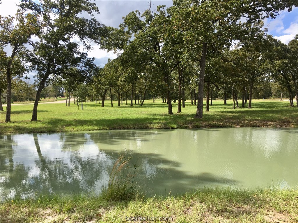 9978 Hampton Court , Iola, TX, 77861 | 18018059 | Realty Texas LLC