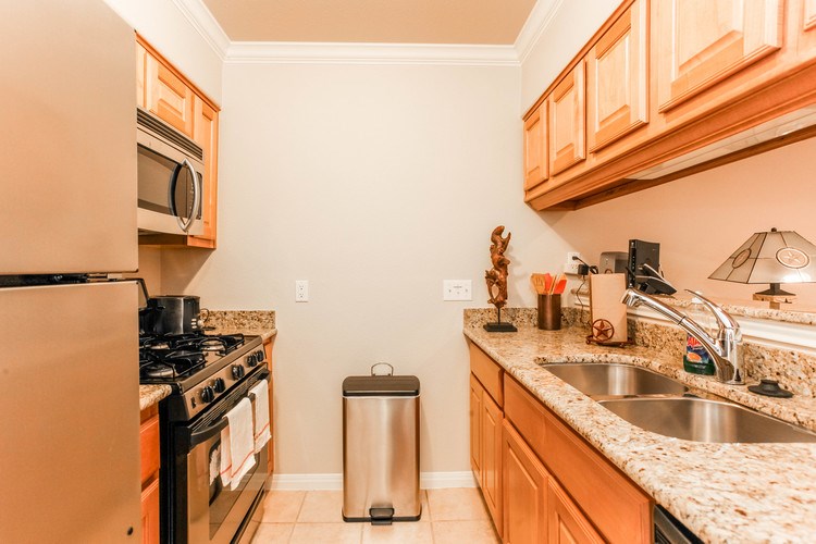 1500 East Side Drive W 119-A , Austin, TX, 78704 | 1126296 | Realty Texas LLC