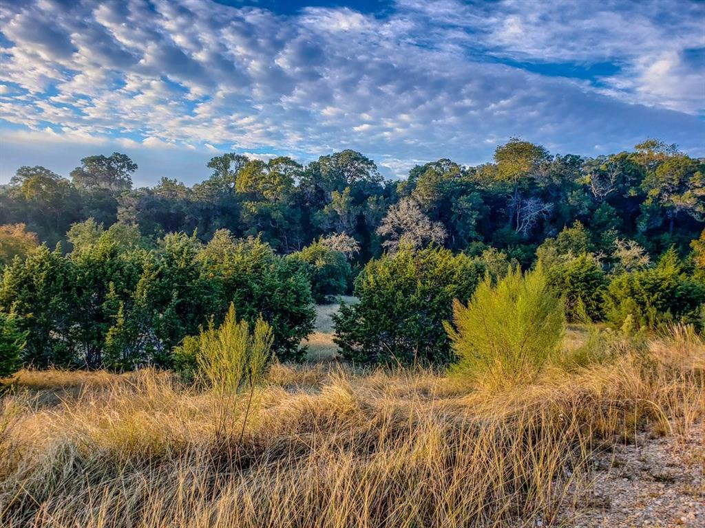 1508 Via Principale , New Braunfels, TX, 78132 | 10145453 | Realty Texas LLC