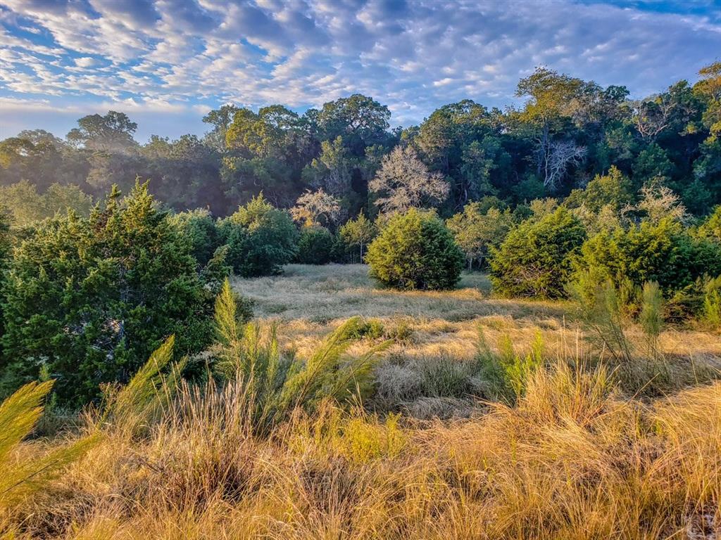1508 Via Principale , New Braunfels, TX, 78132 | 10145453 | Realty Texas LLC