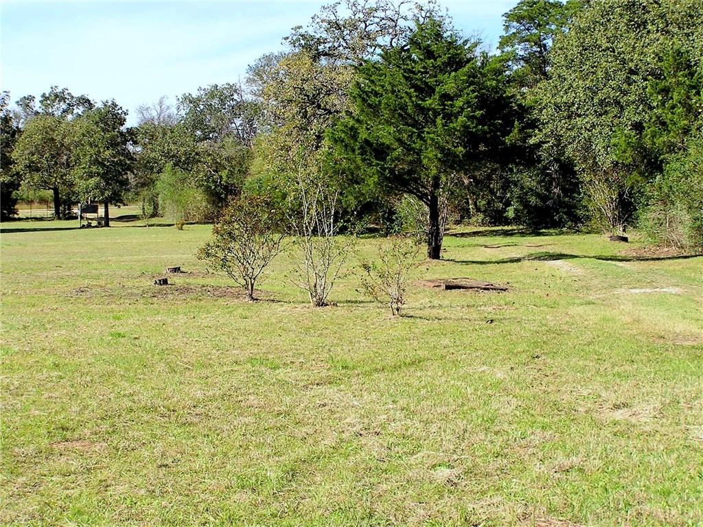 8511 Fm 20 , Dale, TX, 78616 | 4255271 | Realty Texas LLC