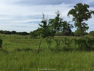 Lot 4 340 CountyRoad N Lot 4 , Franklin, TX, 77856 | 18018691 | Realty Texas LLC