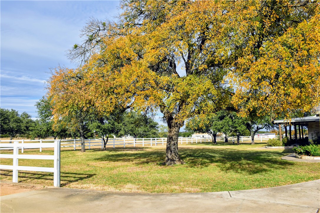 407 Mesa Grande , Leander, TX, 78641 | 3871125 | Realty Texas LLC