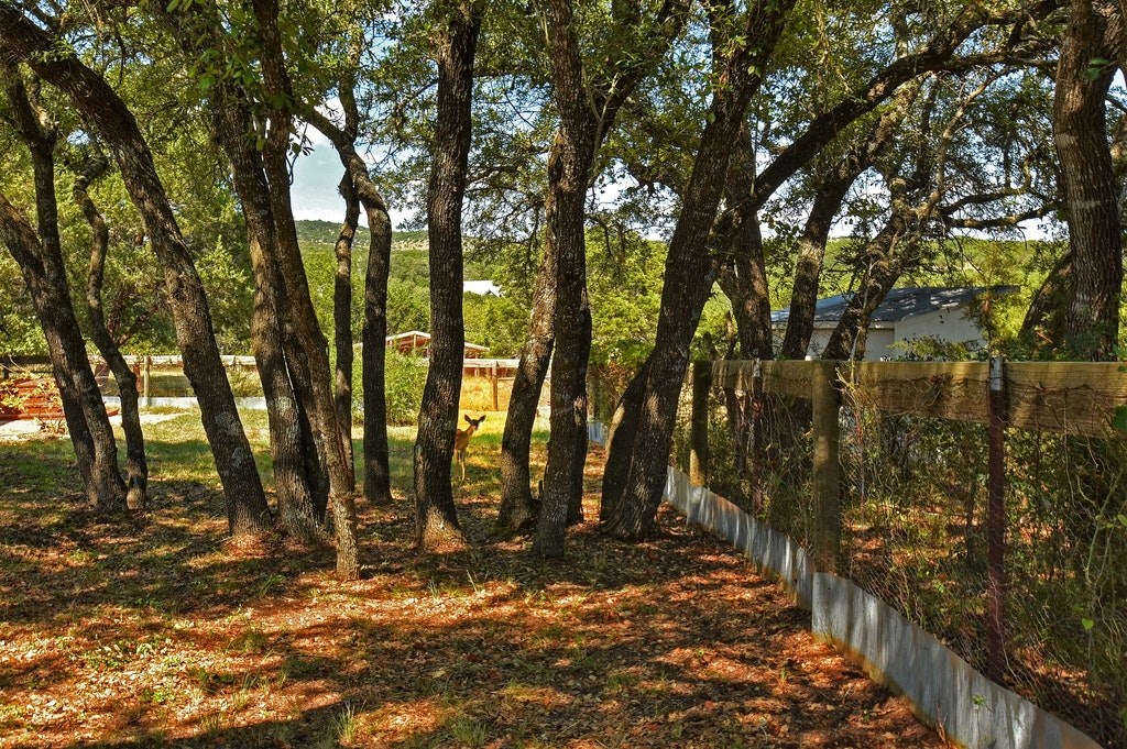 435 Plainview Road , Wimberley, TX, 78676 | 1396518 | Realty Texas LLC