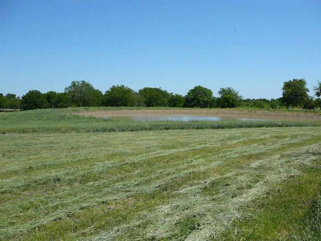 299 Hwy 164 , Mart, TX, 76664 | 151055 | Realty Texas LLC