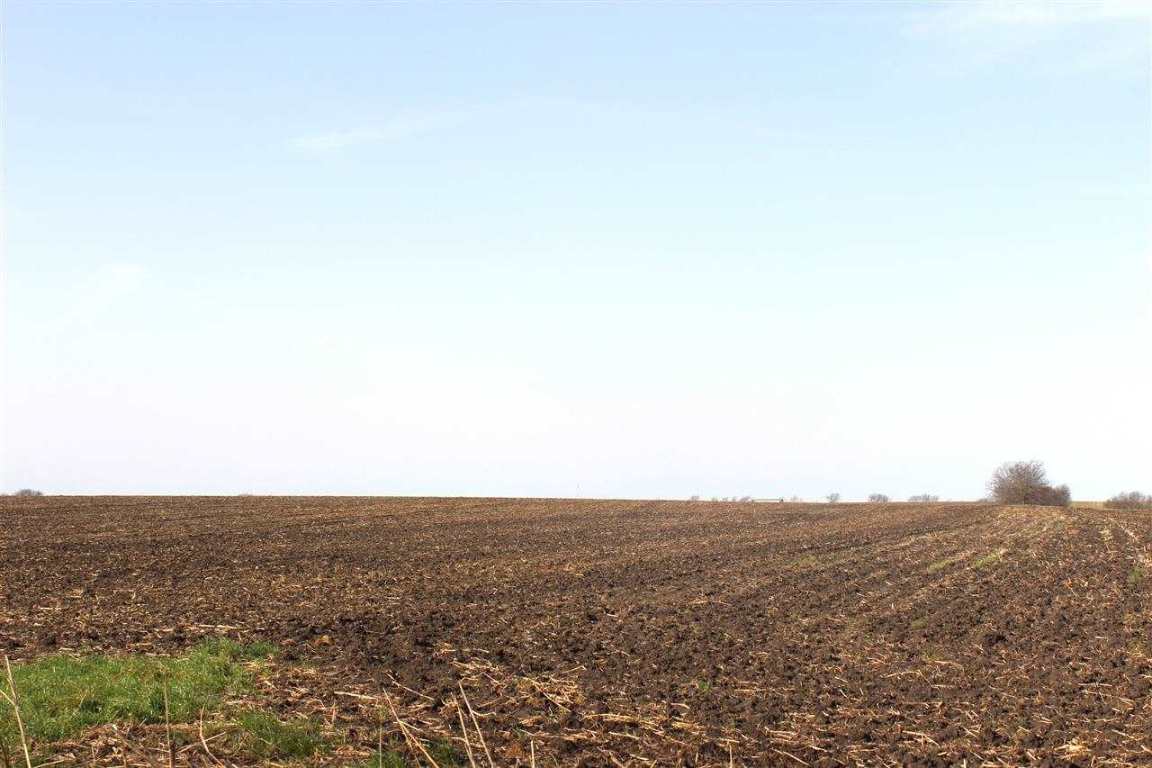 312 Lcr 314 , Mart, TX, 76664 | 155018 | Realty Texas LLC
