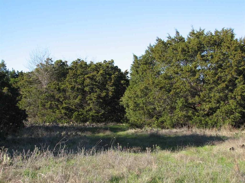 156 Highland Park Way , China Spring, TX, 76633 | 163247 | Realty Texas LLC