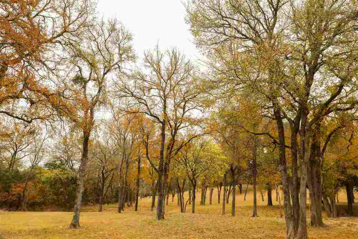 435 Lost Hunters Canyon , China Spring, TX, 76633 | 172907 | Realty Texas LLC
