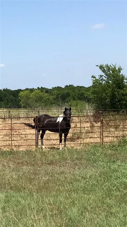 246 Cr 341 , Rosebud, TX, 76570 | 175416 | Realty Texas LLC