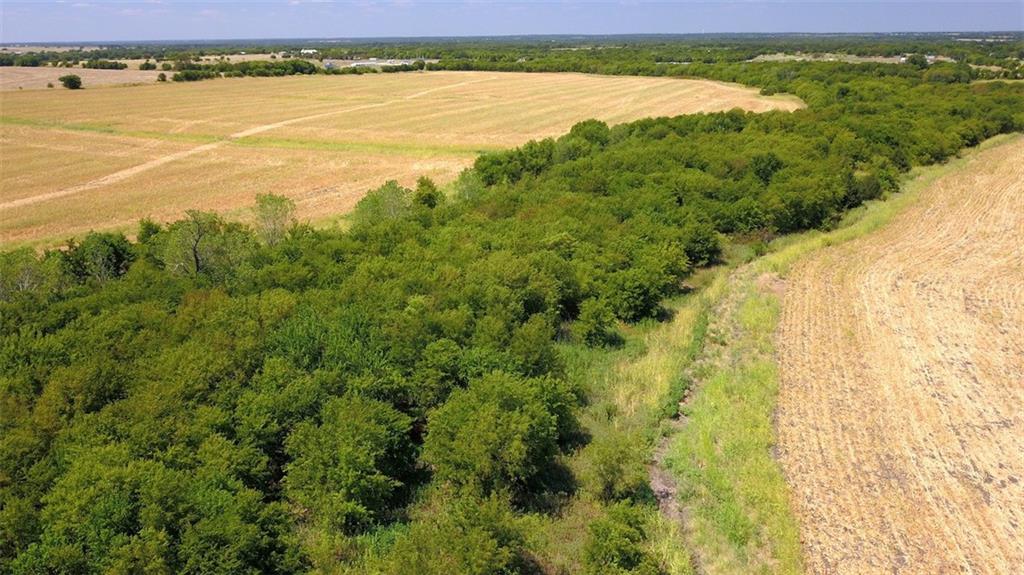 TBD HCR 4109 , Covington, TX, 76636 | 186391 | Realty Texas LLC
