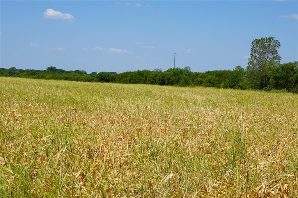 TBD HCR 4109 , Covington, TX, 76636 | 186391 | Realty Texas LLC