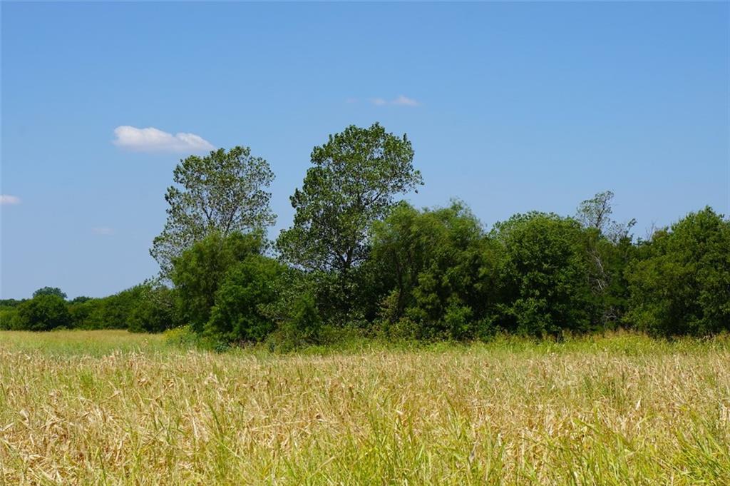TBD HCR 4109 , Covington, TX, 76636 | 186391 | Realty Texas LLC