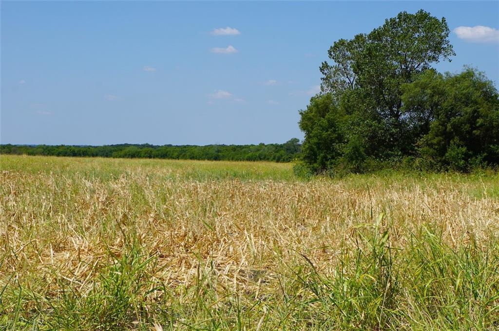 TBD HCR 4109 , Covington, TX, 76636 | 186391 | Realty Texas LLC