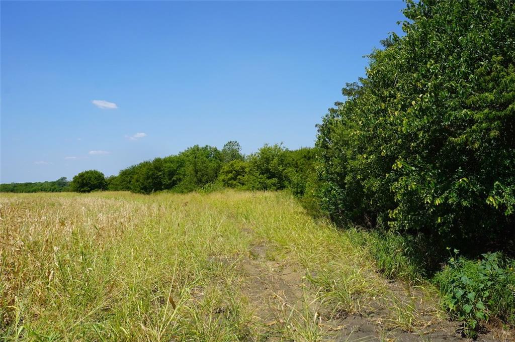 TBD HCR 4109 , Covington, TX, 76636 | 186391 | Realty Texas LLC