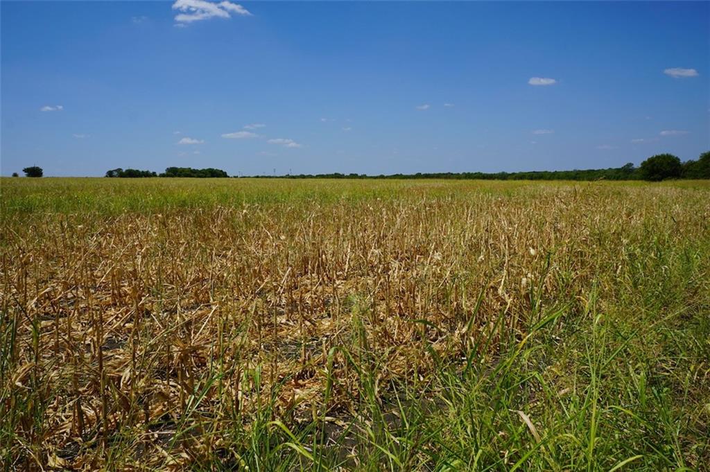 TBD HCR 4109 , Covington, TX, 76636 | 186391 | Realty Texas LLC