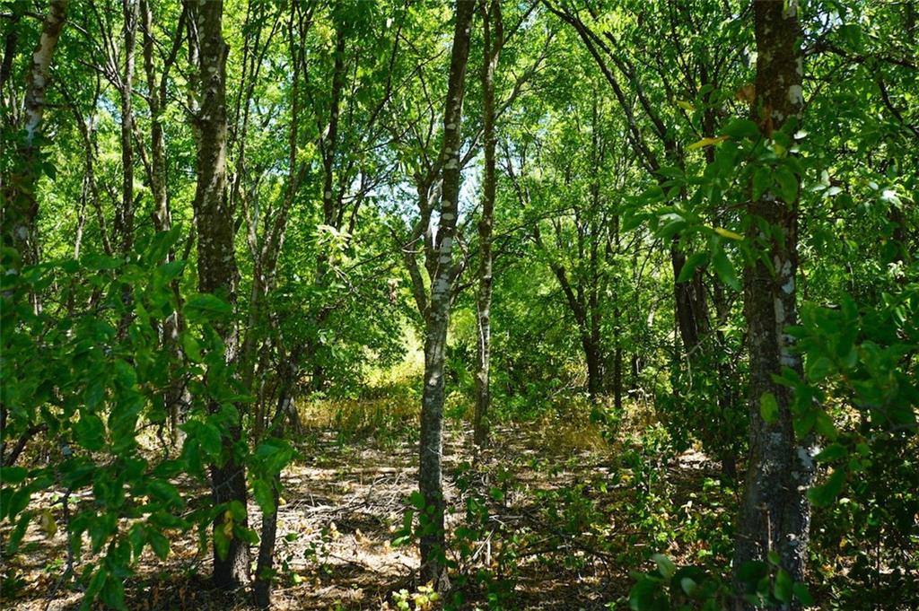 TBD HCR 4109 , Covington, TX, 76636 | 186391 | Realty Texas LLC