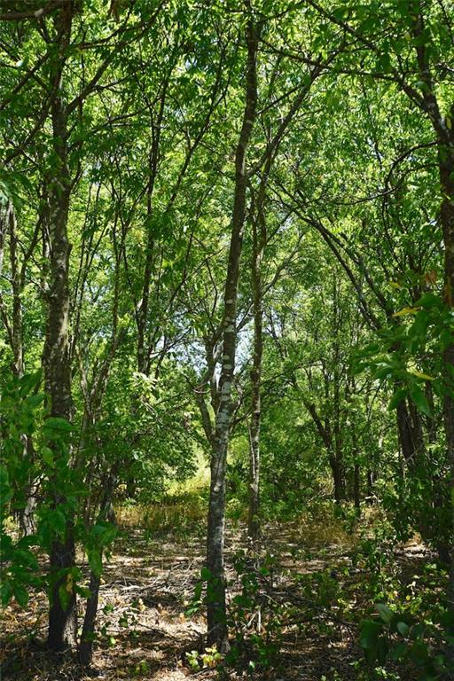 TBD HCR 4109 , Covington, TX, 76636 | 186391 | Realty Texas LLC