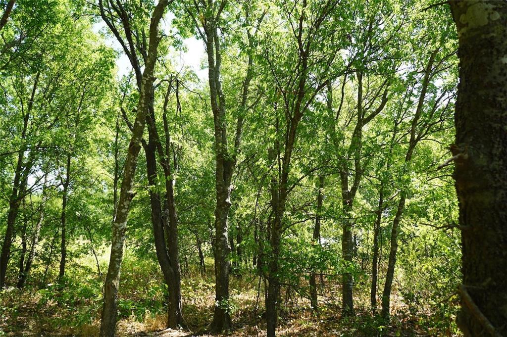 TBD HCR 4109 , Covington, TX, 76636 | 186391 | Realty Texas LLC