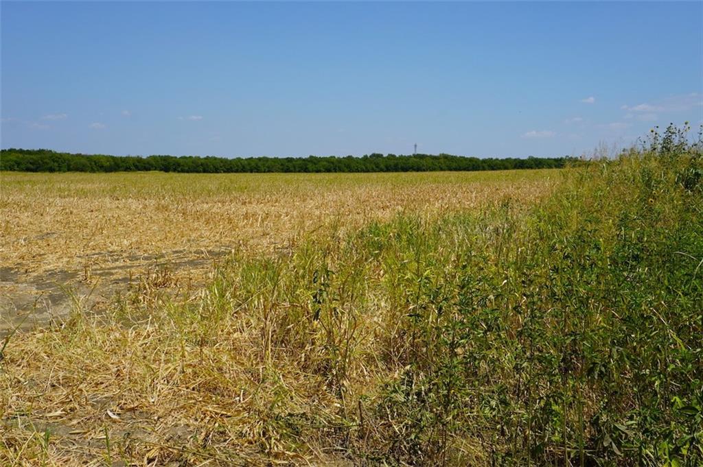 TBD HCR 4109 , Covington, TX, 76636 | 186391 | Realty Texas LLC