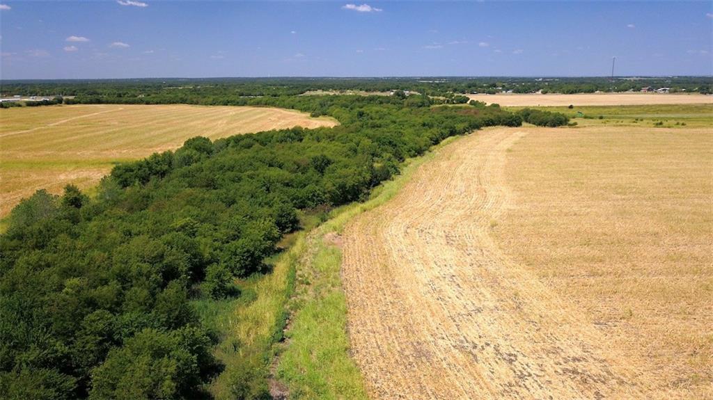 TBD HCR 4109 , Covington, TX, 76636 | 186391 | Realty Texas LLC