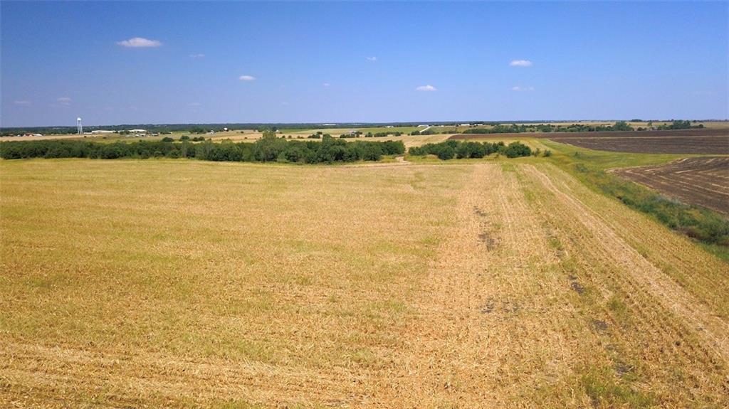 TBD HCR 4109 , Covington, TX, 76636 | 186391 | Realty Texas LLC