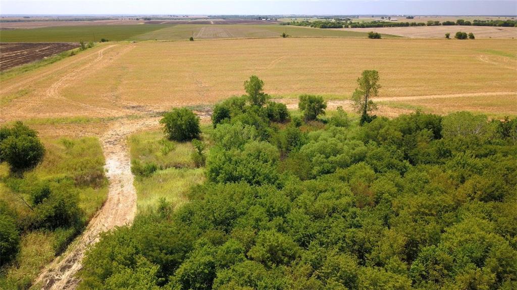 TBD HCR 4109 , Covington, TX, 76636 | 186391 | Realty Texas LLC