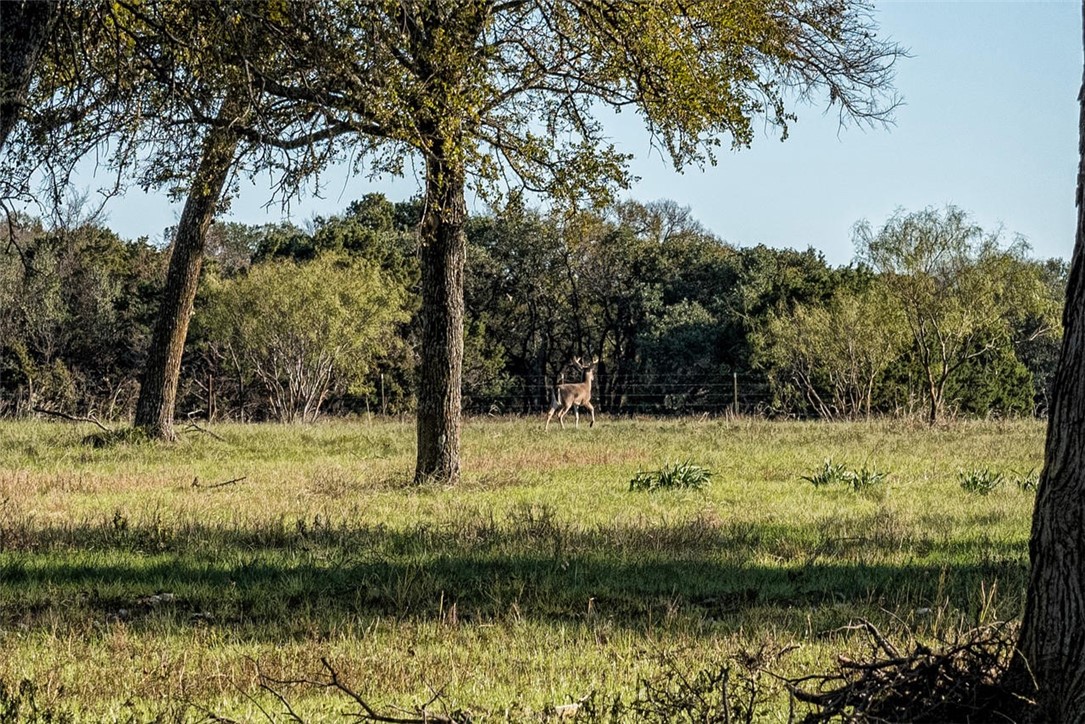 8171 W Middle Bosque , Valley Mills, TX, 76689 | 186599 | Realty Texas LLC