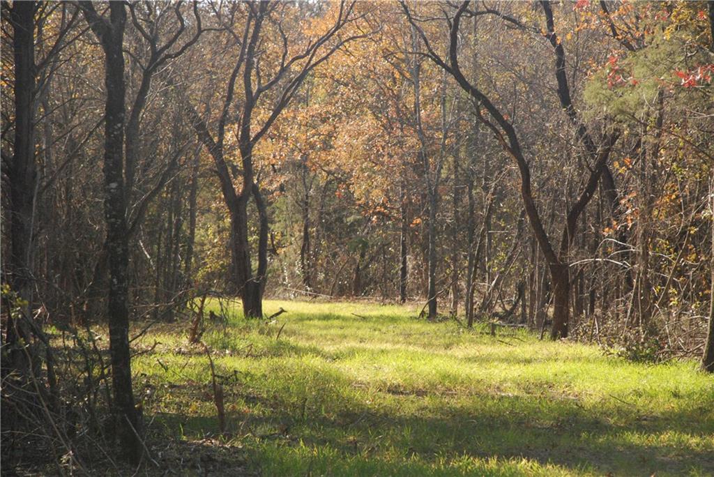 TBD FM 933 Gholson Road , Waco, TX, 76705 | 186667 | Realty Texas LLC