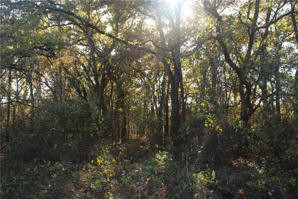 TBD FM 933 Gholson Road , Waco, TX, 76705 | 186667 | Realty Texas LLC