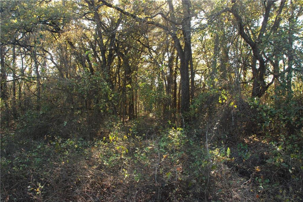 TBD FM 933 Gholson Road , Waco, TX, 76705 | 186667 | Realty Texas LLC