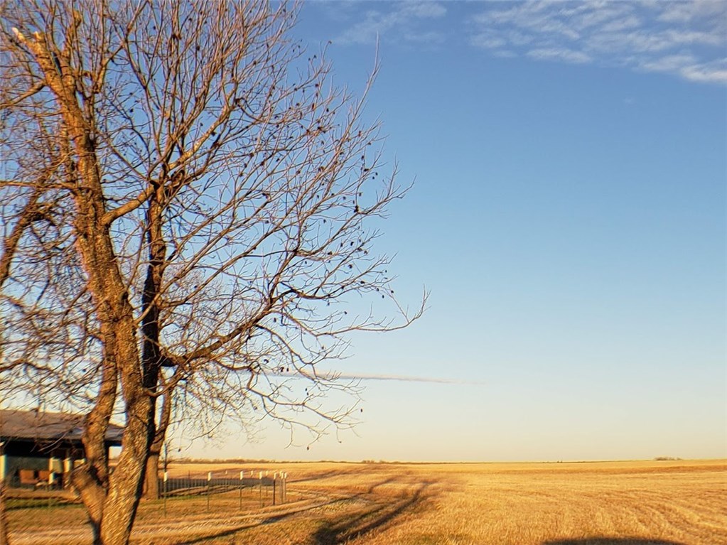 101 County Road 354 , Granger, TX, 76530 | 3910658 | Realty Texas LLC