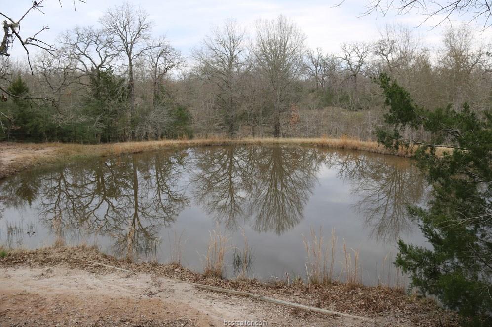 10097 John Rice Drive , Iola, TX, 77861 | 19000601 | Realty Texas LLC