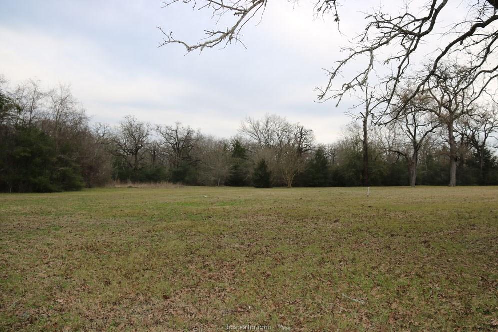 10097 John Rice Drive , Iola, TX, 77861 | 19000601 | Realty Texas LLC