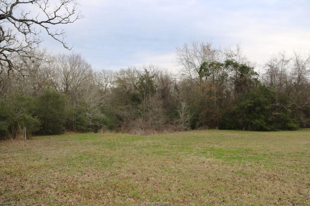 10097 John Rice Drive , Iola, TX, 77861 | 19000601 | Realty Texas LLC