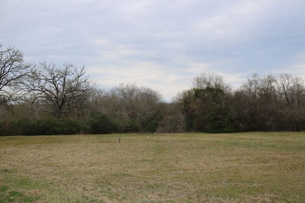10097 John Rice Drive , Iola, TX, 77861 | 19000601 | Realty Texas LLC