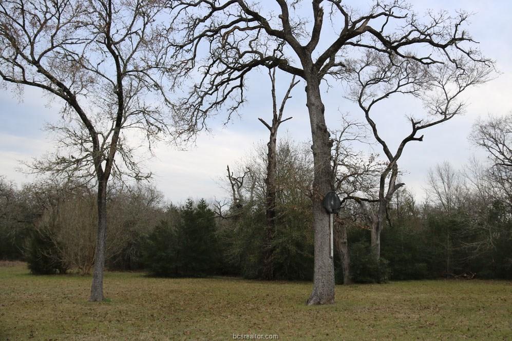 10097 John Rice Drive , Iola, TX, 77861 | 19000601 | Realty Texas LLC