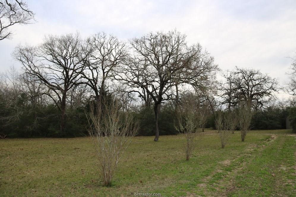 10097 John Rice Drive , Iola, TX, 77861 | 19000601 | Realty Texas LLC